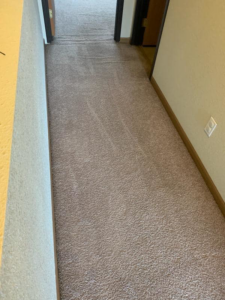 A freshly cleaned light brown hallway carpet after professional service by Steamagic Carpet Care in Columbia, MO