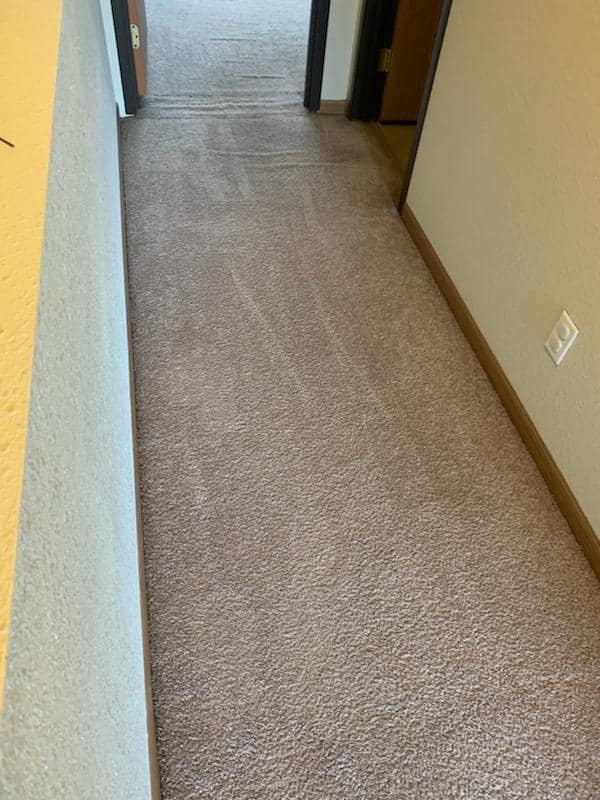 A freshly cleaned light brown hallway carpet after professional service by Steamagic Carpet Care in Columbia, MO