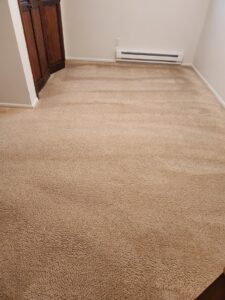 A freshly cleaned light brown carpet with visible cleaning lines by Heaven's Best Carpet Cleaning Idaho Falls ID.