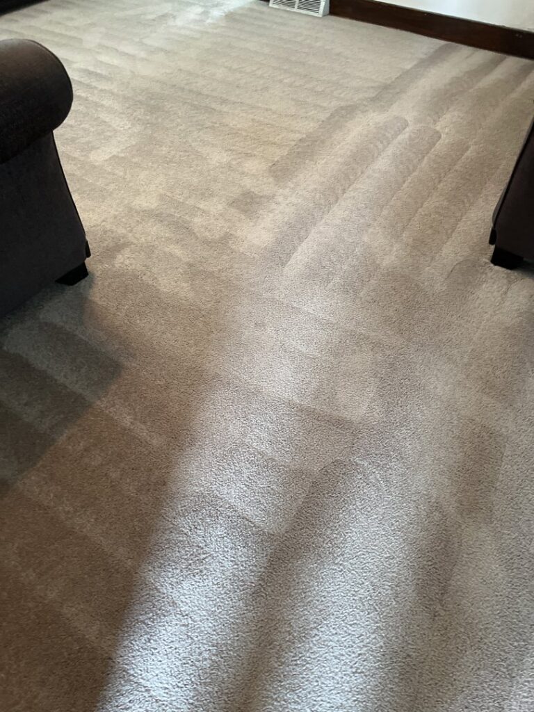 A freshly cleaned light-colored carpet, showing professional cleaning lines from KANDE Carpet Cleaning in Pittsburgh, PA.