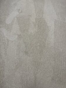 A freshly cleaned light-colored carpet showing professional cleaning lines, provided by JDog Carpet Cleaning & Floor Care Alpharetta in Roswell, GA.