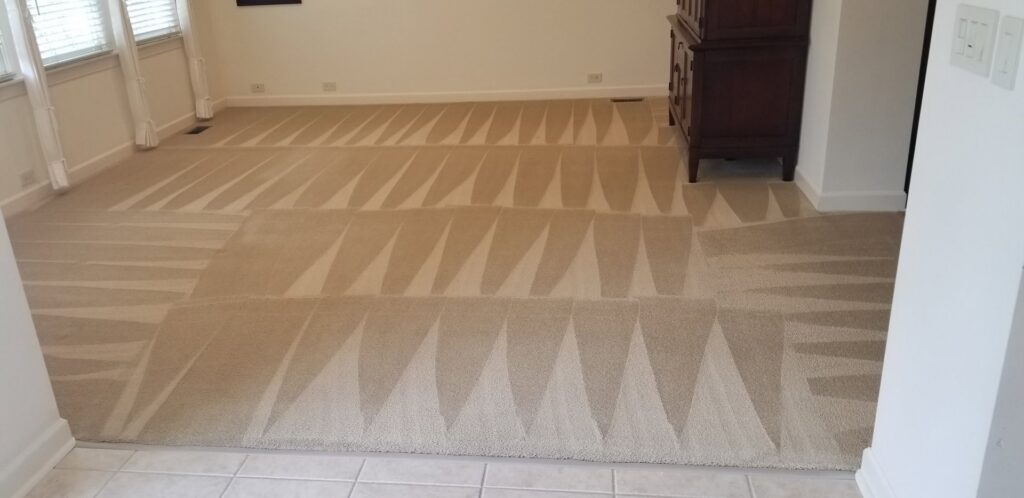 A living room carpet showing fresh cleaning patterns after service by Advanced Floor Cleaning, Inc. in Elgin, IL