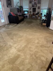 A freshly cleaned living room carpet with visible cleaning lines, showcasing professional results from Carpet Cleaning & More in Atlanta, GA.