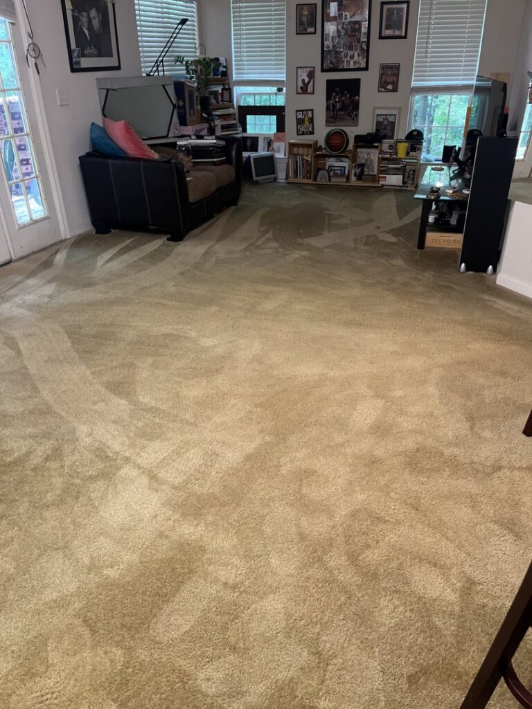 A freshly cleaned living room carpet with visible cleaning lines, showcasing professional results from Carpet Cleaning & More in Atlanta, GA.