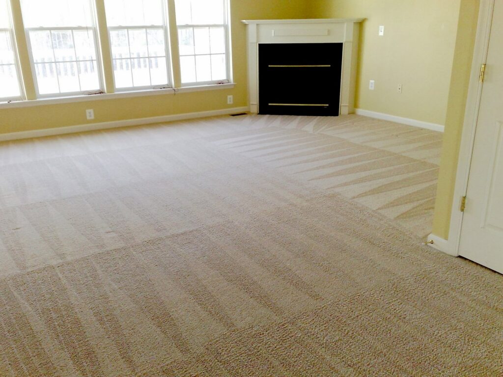 A freshly cleaned living room carpet with visible cleaning lines by CitruSolution Carpet & Upholstery Cleaning of Orlando, FL