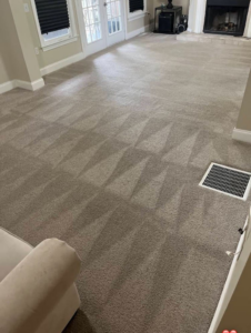 A freshly cleaned living room carpet with distinct vacuum lines by Clear Vision Carpet & Floor Care, Inc. in Newnan, GA.