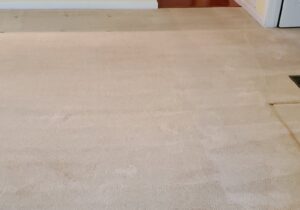 A freshly cleaned, light-colored carpet in a living room, showcasing the results from Fletcher's Carpet Cleaning & Stretching in Knoxville, TN.