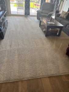 A freshly cleaned living room carpet with visible cleaning lines by Healthy Living Carpet & Tile Cleaning in Peoria, AZ.