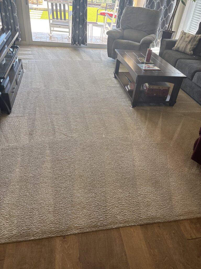 A freshly cleaned living room carpet with visible cleaning lines by Healthy Living Carpet & Tile Cleaning in Peoria, AZ.