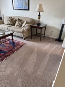 Freshly cleaned living room carpet with visible cleaning lines by Imperial Carpet Cleaning in San Diego, CA.