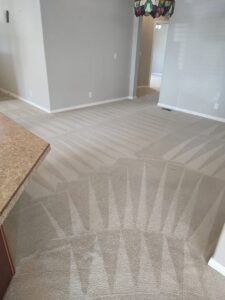 A freshly cleaned living room carpet with distinct cleaning patterns by Just Right Carpet Cleaning of Goose creek moncks corner in North Charleston, SC.