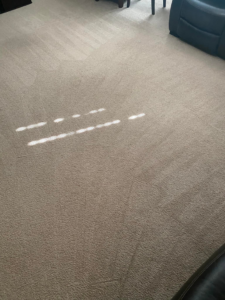 A freshly cleaned light-colored carpet in a living room by M3 Cleaning Solutions, LLC in Montgomery, AL.
