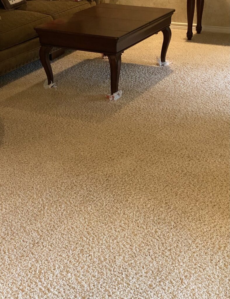 A freshly cleaned living room carpet with furniture protected, showcasing the quality work of Master's Touch Steam Cleaning in San Antonio, TX.