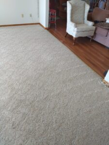A freshly cleaned, light-colored carpet in a living room, showcasing the quality work of Norris Carpet Care in Watertown, SD.