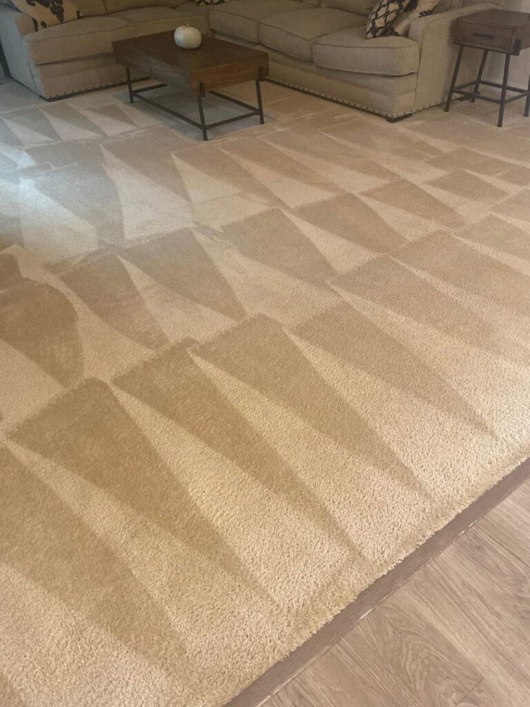 Freshly cleaned living room carpet with distinct cleaning patterns by RVA Steamer in Richmond, VA
