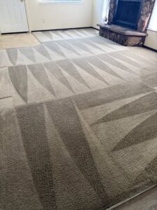 A freshly cleaned living room carpet with distinct cleaning lines by Tailor Maid Carpet Cleaning in Colorado Springs, CO.