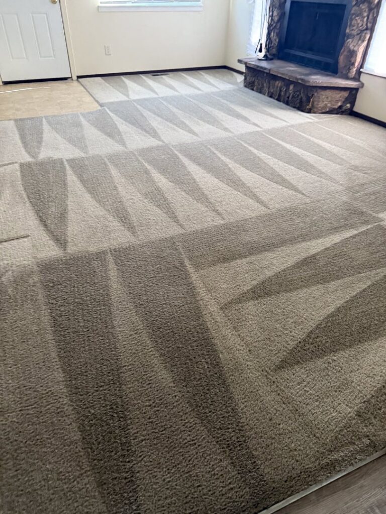 A freshly cleaned living room carpet with distinct cleaning lines by Tailor Maid Carpet Cleaning in Colorado Springs, CO.
