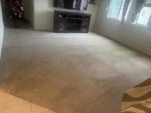 A freshly cleaned living room carpet by The Barreto Brothers Carpet Cleaning in Sacramento, CA