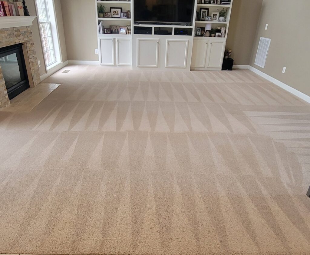A freshly cleaned living room carpet with distinct vacuum lines by True Organic Carpet Cleaning in Charlotte, NC.
