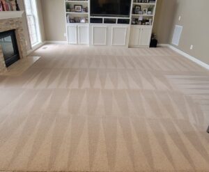 A freshly cleaned living room carpet with distinct vacuum lines by True Organic Carpet Cleaning in Charlotte, NC.