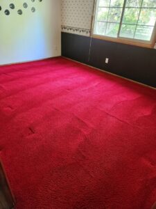 A freshly cleaned red carpet with visible cleaning lines after service by Heaven's Best Carpet Cleaning Idaho Falls ID.