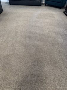 A freshly cleaned, light-colored residential carpet showcasing quality results from Extra Mile Floor Care in Mesa, AZ.