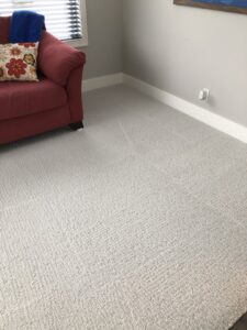 A freshly cleaned light-colored residential carpet in a living room by KODA Carpet Cleaning in Holland, MI.