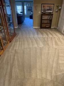 A freshly cleaned residential carpet with distinct cleaning lines, a testament to Super Duper Carpet & Duct Cleaning's service in Pittsburgh, PA.