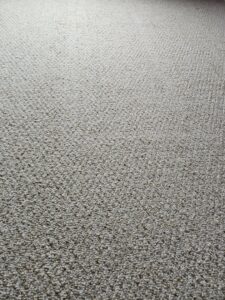 A close-up view of a freshly cleaned residential carpet by Worm's Quality Carpet Care & Commercial Cleaning, LLC in Seaford, DE.