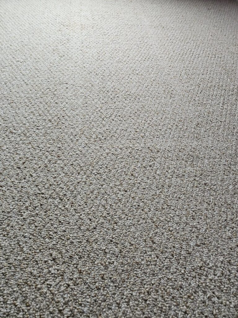 A close-up view of a freshly cleaned residential carpet by Worm's Quality Carpet Care & Commercial Cleaning, LLC in Seaford, DE.
