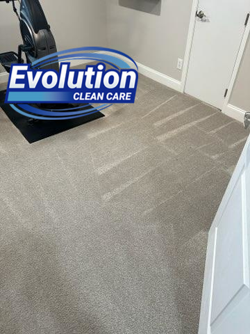 A freshly cleaned room carpet with visible cleaning lines by Evolution Clean Care in Knoxville, TN