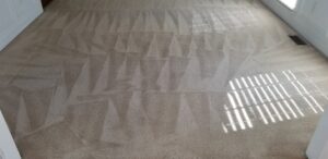 A freshly cleaned residential carpet with clear vacuum lines by Right & Clean Atlanta 24-7 Carpet Cleaning in Atlanta, GA.