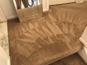Freshly cleaned brown carpet on stairs showing distinct cleaning patterns by Dry Green Cleaning in Detroit, MI.