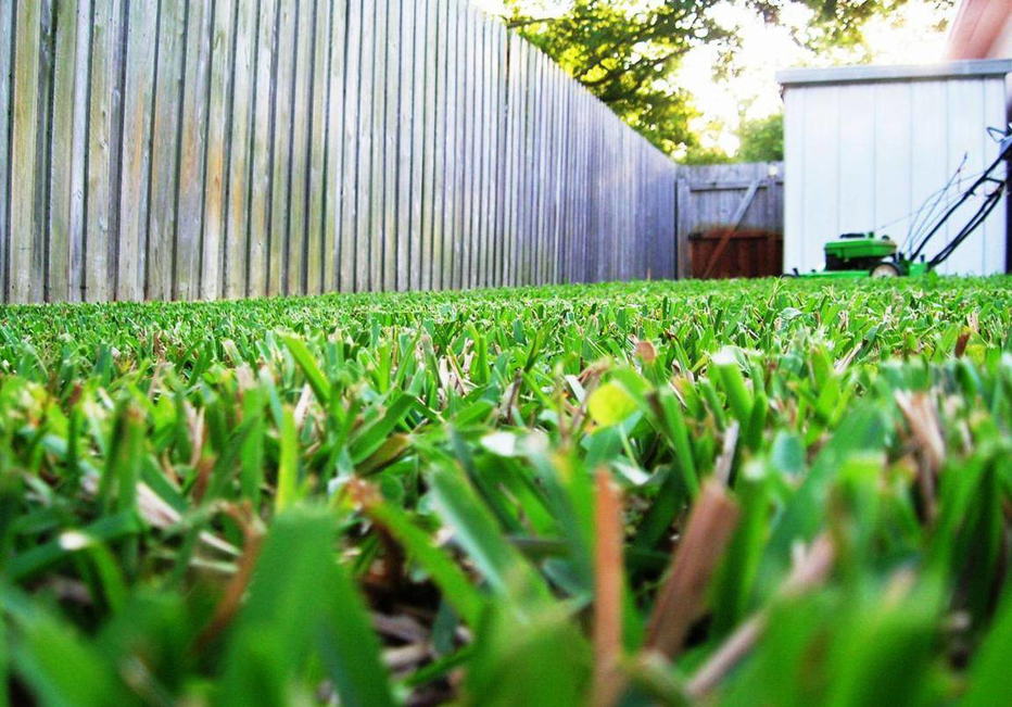 A freshly cut green lawn with a lawnmower in the background, showcasing quality work by Riley's Lawn Care Service in South Bend, IN.