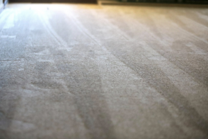 Freshly installed carpet with visible vacuum lines, showcasing quality work by Murray's Flooring in Topeka, KS.