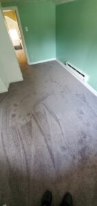 A room showcasing a freshly installed grey carpet by Carpet Liquidators in Linthicum Heights, MD.