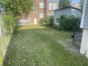 A freshly mowed backyard lawn with clear mowing lines, completed by Elliott's Lawn Care & Landscaping in Lexington, KY.
