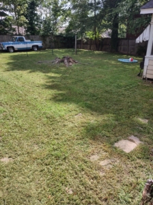 A freshly mowed backyard lawn with neat stripes, showcasing quality work by Justice Lawn and Limbs in Jackson, TN.