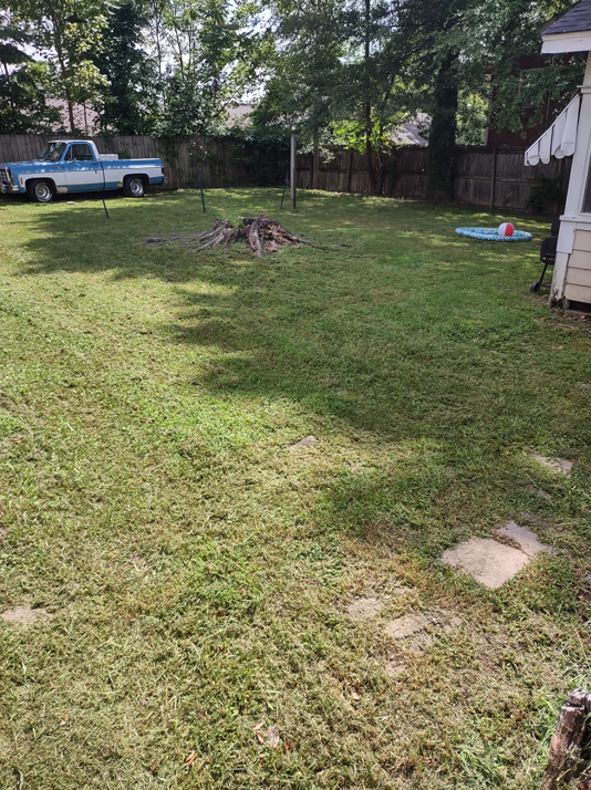 A freshly mowed backyard lawn with neat stripes, showcasing quality work by Justice Lawn and Limbs in Jackson, TN.