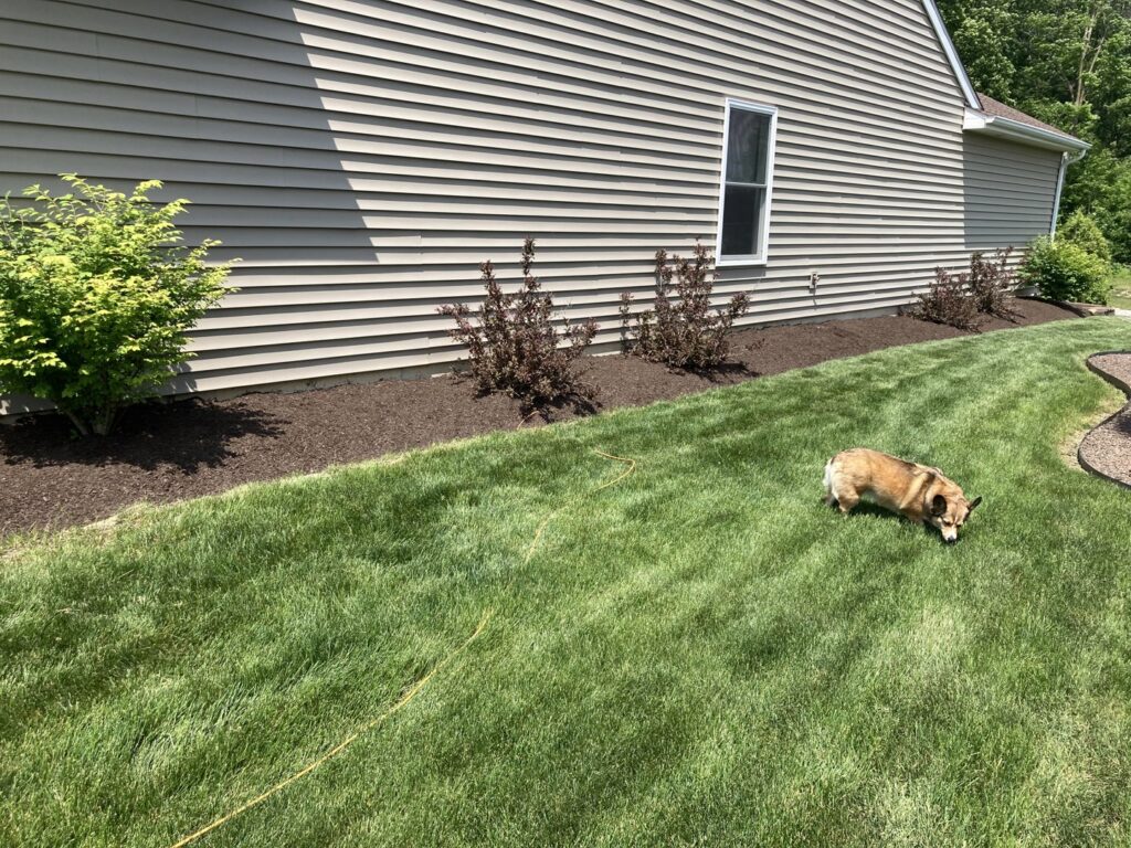 A freshly mowed residential backyard lawn with newly mulched garden beds by Three Rivers Lawn Care Co. in Fort Wayne, IN.