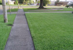 A freshly mowed and neatly edged residential lawn, expertly cared for by DLC Service in Kenner, LA.