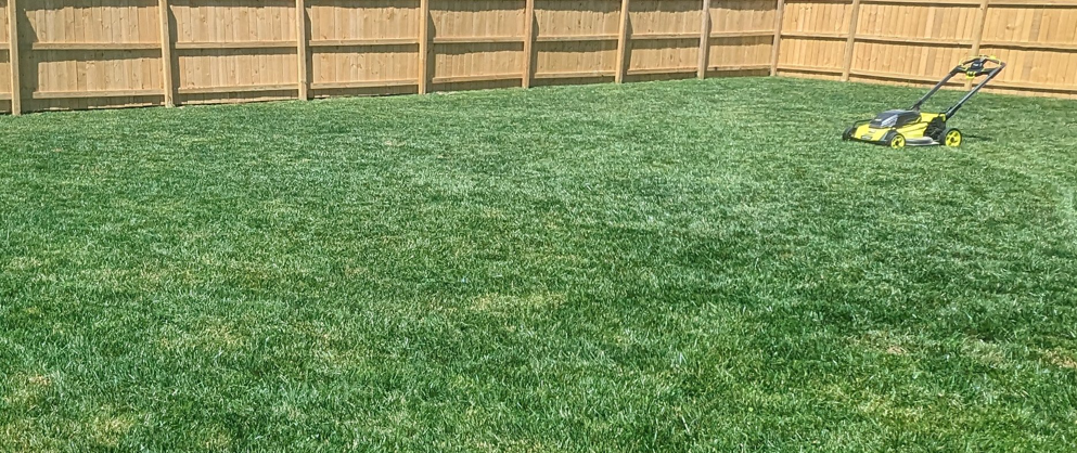 A vibrant, freshly mowed green lawn with a lawnmower in the background by EGreen Lawn Pros in Chattanooga, TN.