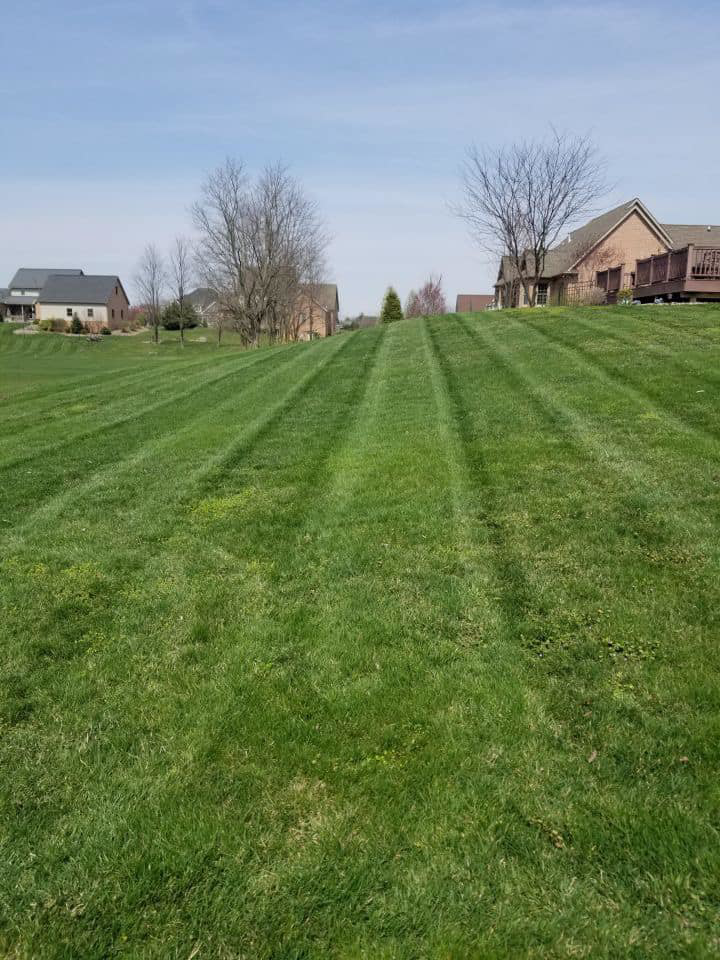 A freshly mowed hillside lawn with distinct stripes, maintained by Clean Cuts Lawn Care in Cavetown, MD.