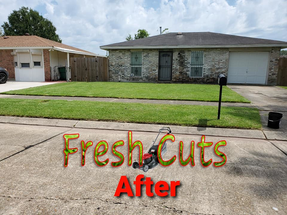 A freshly mowed lawn in front of a house after service by Fresh Cuts Nola Lawn Service in New Orleans, LA.
