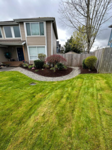 A freshly mowed lawn and a newly landscaped garden bed with mulch and gravel by Martin's Landscaping CO. in Renton, WA.