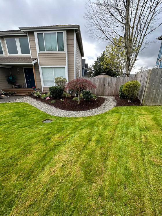 A freshly mowed lawn and a newly landscaped garden bed with mulch and gravel by Martin's Landscaping CO. in Renton, WA.