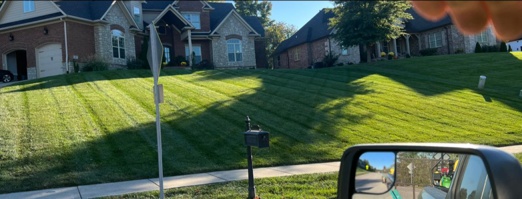A freshly mowed lawn with distinct stripes in front of residential homes by Affordable Lawn Care llc in Bowling Green, KY.
