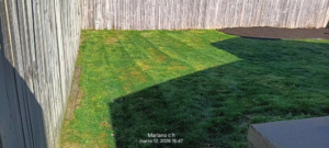 A freshly mowed lawn with distinct stripes, showcasing professional lawn care by Cortes Landscaping and Lawn Care Service in Crosby, PA.