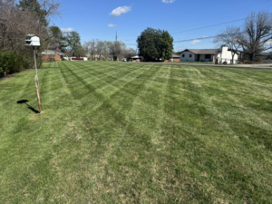 A large, freshly mowed lawn with distinct stripes, showcasing professional work by Hancock Lawn Care in Knoxville, TN.
