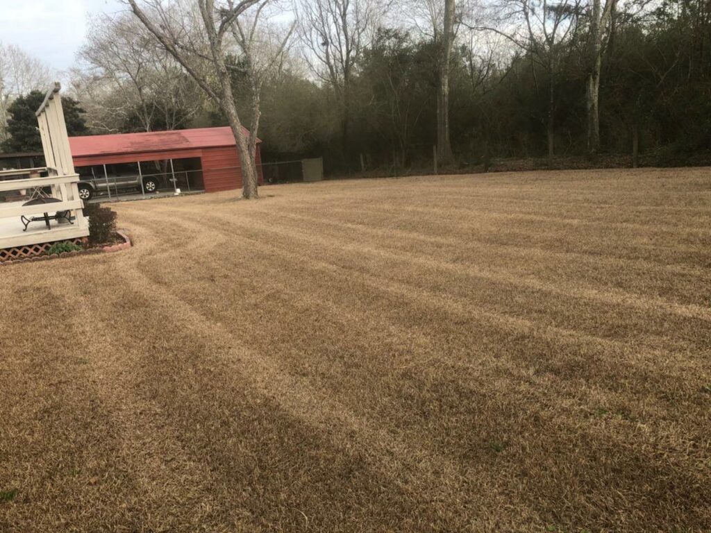 A freshly mowed lawn with distinct stripes, showcasing expert lawn care by L&L Lawn Care Service in Dothan, AL.